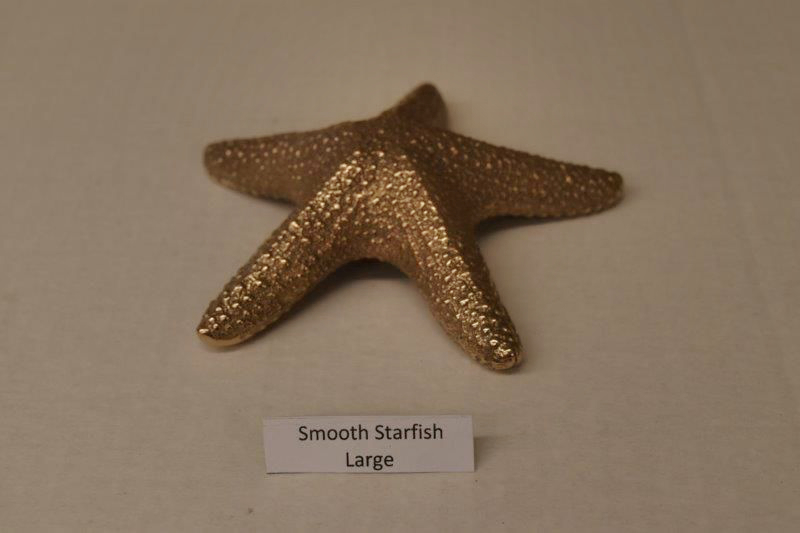 Smooth Starfish Large
